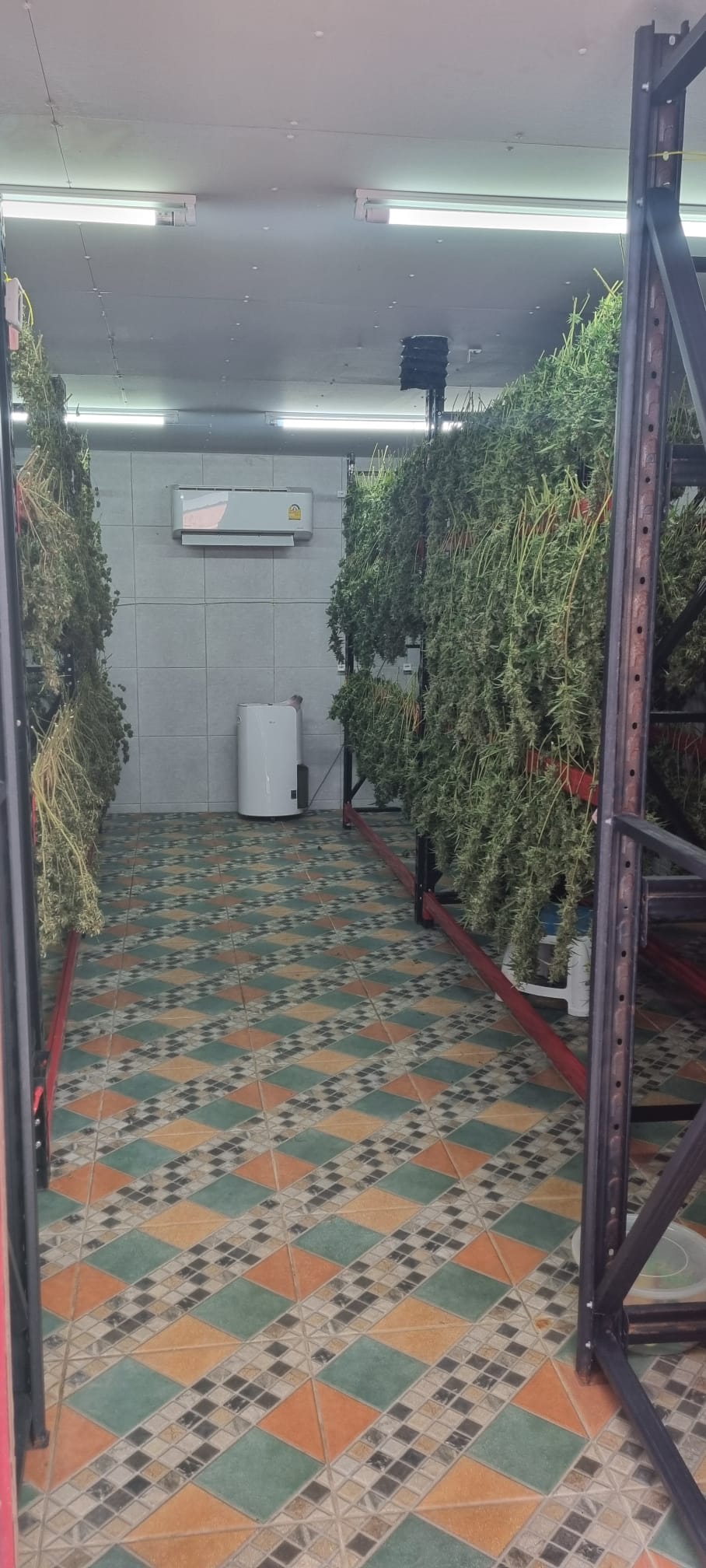 Drying, Trimming & Curing