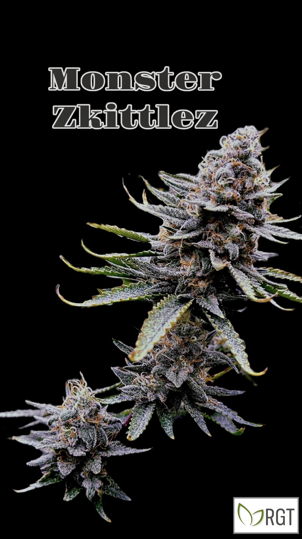 RGT premium cannabis flower with rich terpenes