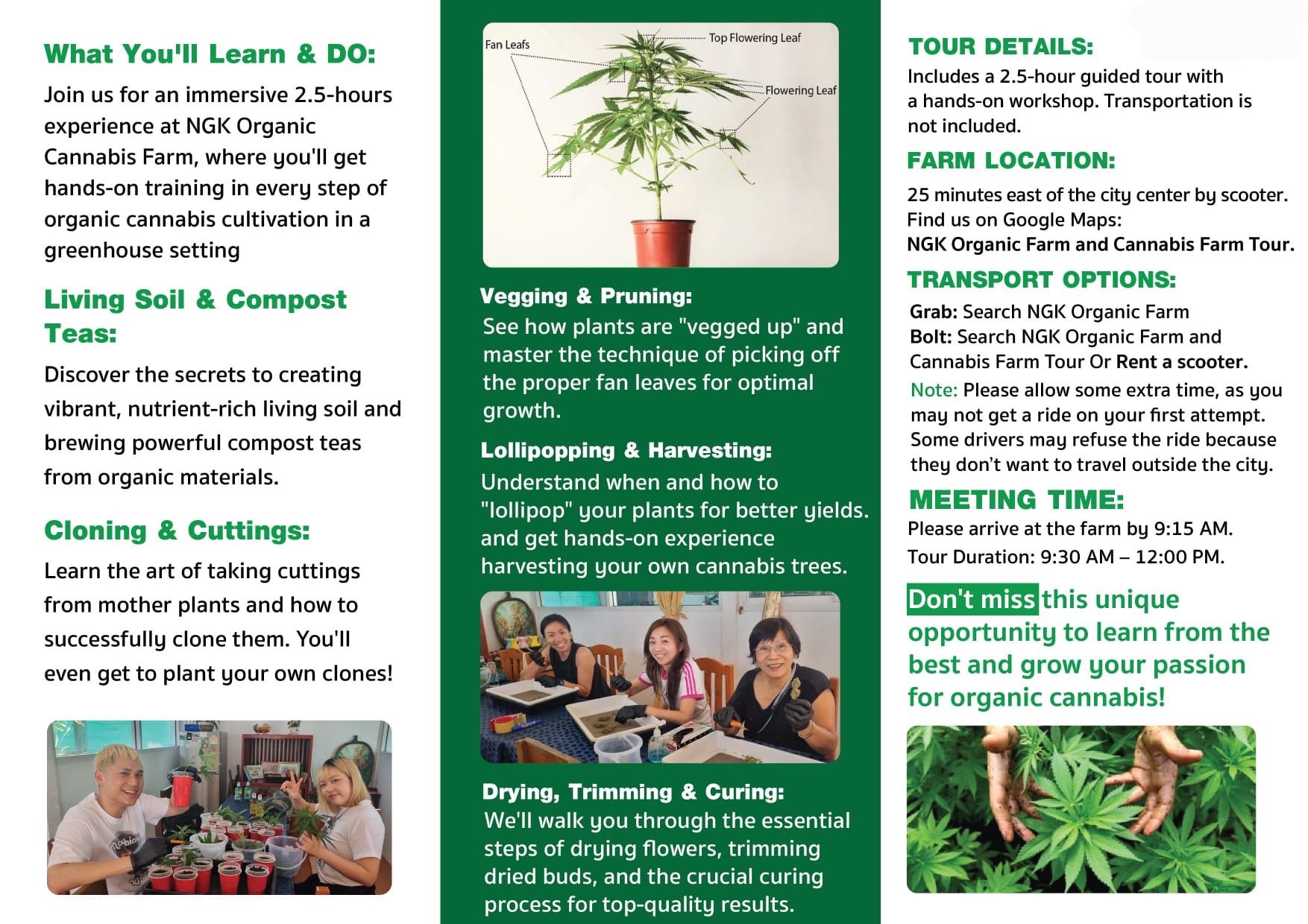NGK Organic Farm cannabis cultivation