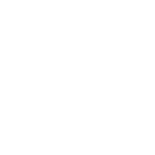 Nail Pro