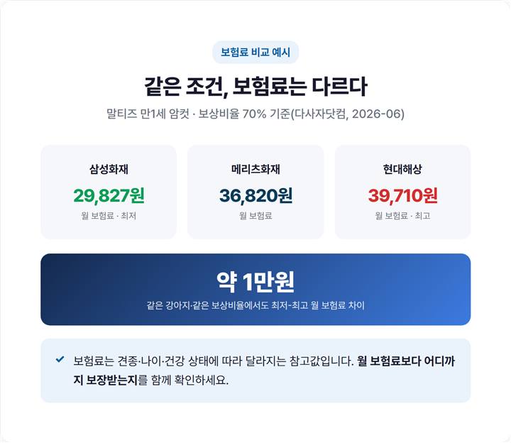 말티즈 만1세 기준 삼성화재 메리츠화재 현대해상 월 보험료 비교 예시 표