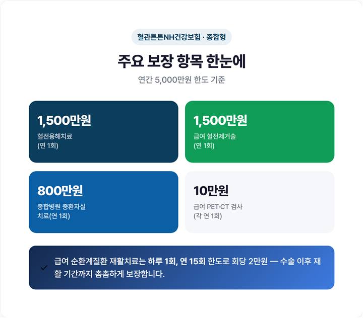 혈관튼튼NH건강보험 종합형 주요 보장 항목과 한도(혈전용해치료·혈전제거술 각 1500만원, 중환자실 800만원 등)를 한눈에 보여주는 요약 표