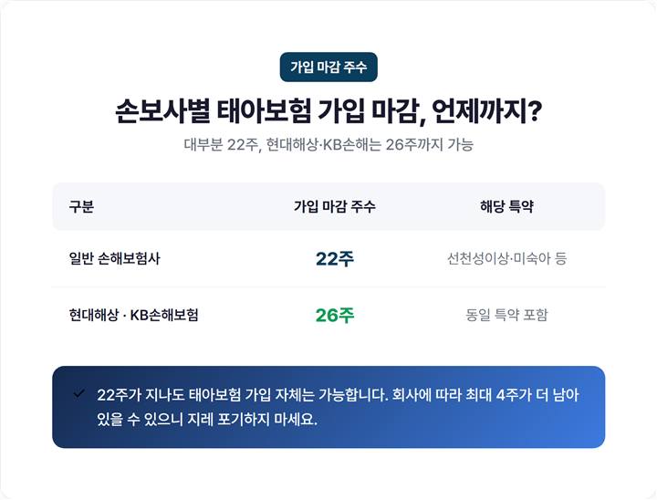 손보사 22주 vs 현대해상·KB손해 26주 태아보험 가입 마감 주수 비교표
