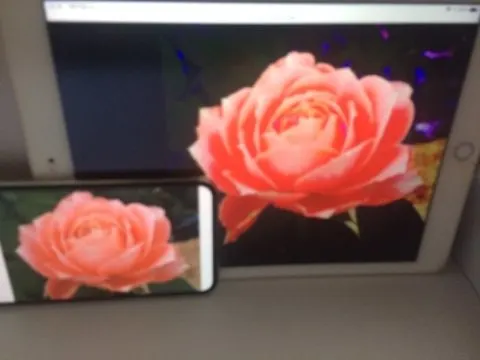 iPad Air2の画像（1）