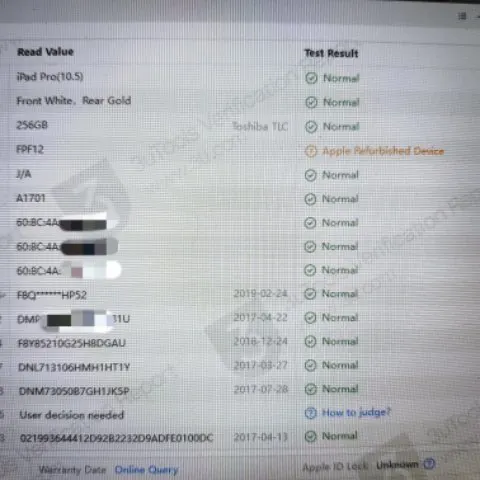 iPad Pro 10.5 Gold 256GB Wi-Fi 画面表示不良の画像（4）