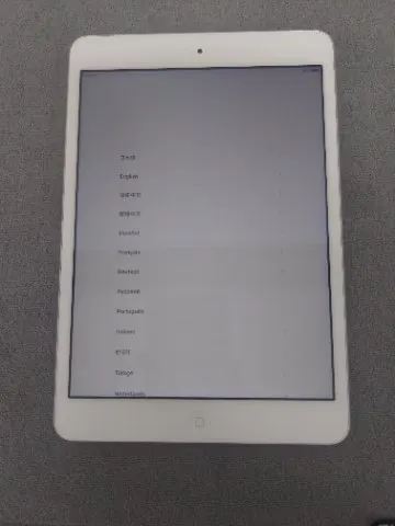 iPad mini 2 16GB WiFi+Cellular アクティベーションロックの画像（0）