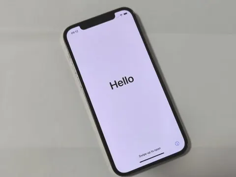 【ジャンク】iPhone12 pro 512GB  部品取りの画像（2）