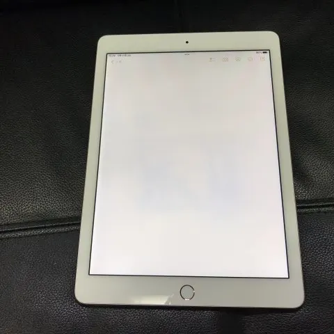 iPad Pro 9.7インチ SIMロック解除済みの画像（2）