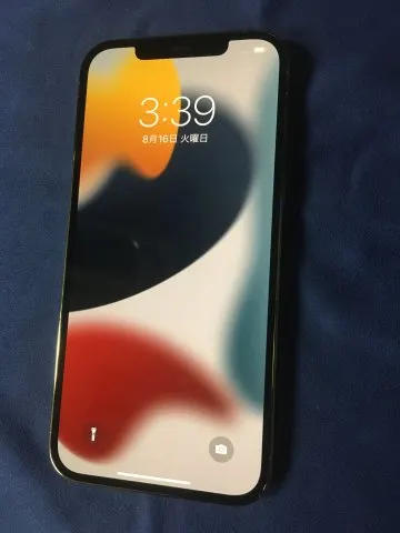 iPhone 12 Pro Max 256GB SIMフリーの画像（0）