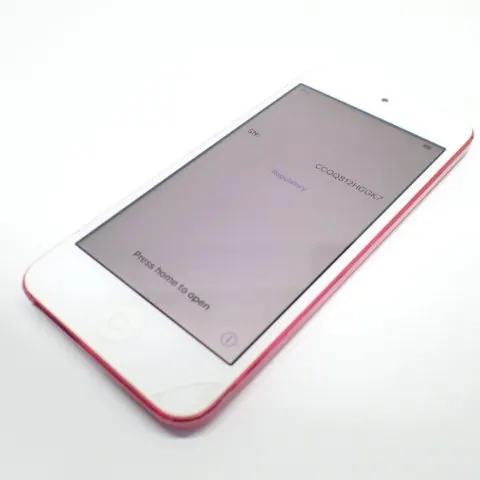 D461 Apple iPod touch 第6世代 16GBの画像（0）