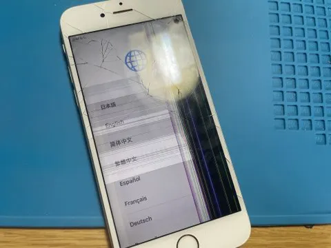 ペイペイ様専用の画像（0）