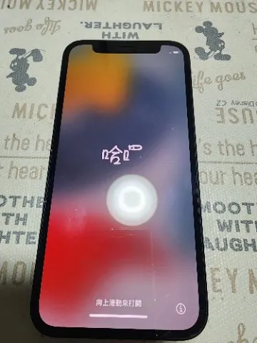iPhone12miniの画像（0）