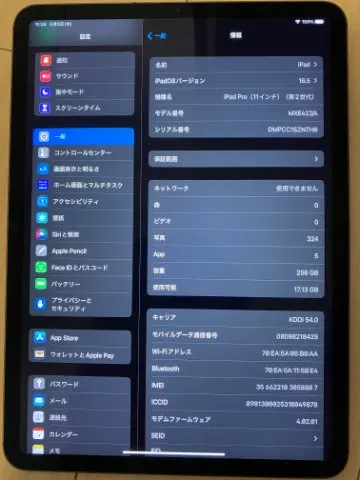 iPad Pro11 256G スペースグレイの画像（0）