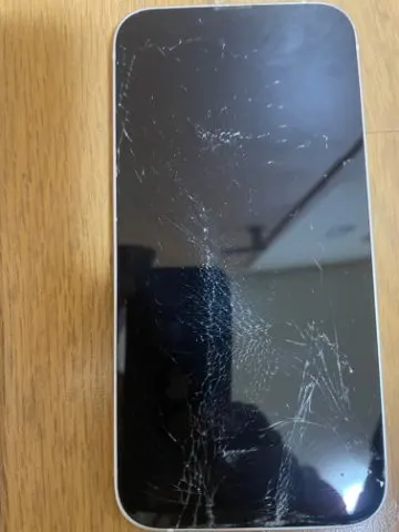 iPhone13 ジャンクの画像（0）