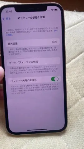 国内版SIMフリー iPhone12 Pro 256GBの画像（1）
