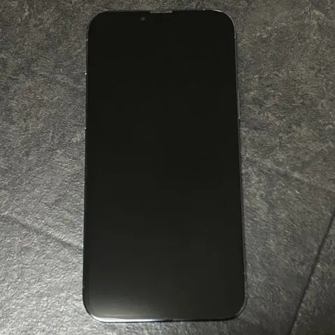 ジャンク iPhone 13 Pro Max ブルー 1TBの画像（1）