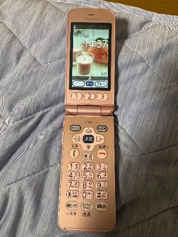 【赤ロムSIMフリー】F-01M らくらくホンの画像（0）