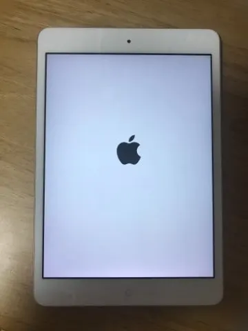 ホットレモン様専用の画像（0）