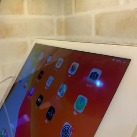 iPad Air2 16GB ゴールド Cellularモデルの画像（2）