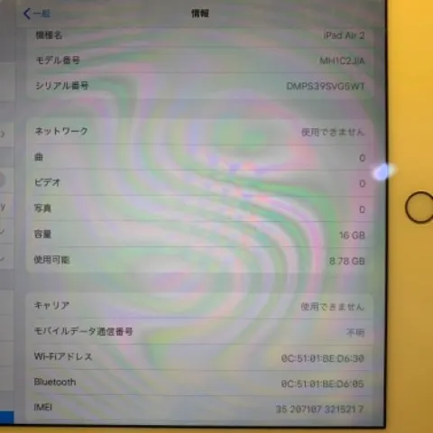 iPad Air2 16GB ゴールド Cellularモデルの画像（4）