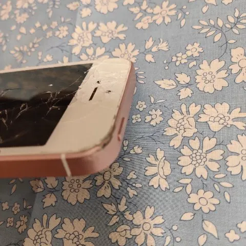 iPhone SEの画像（2）
