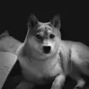 ガジェラバの中の人