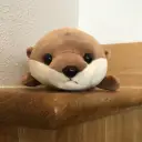 はいぺりおん
