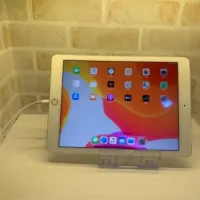 iPad Air2 16GB ゴールド Cellularモデル
