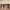 About page project banner