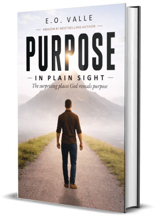Purpose in Plain Sight by E.O. Valle