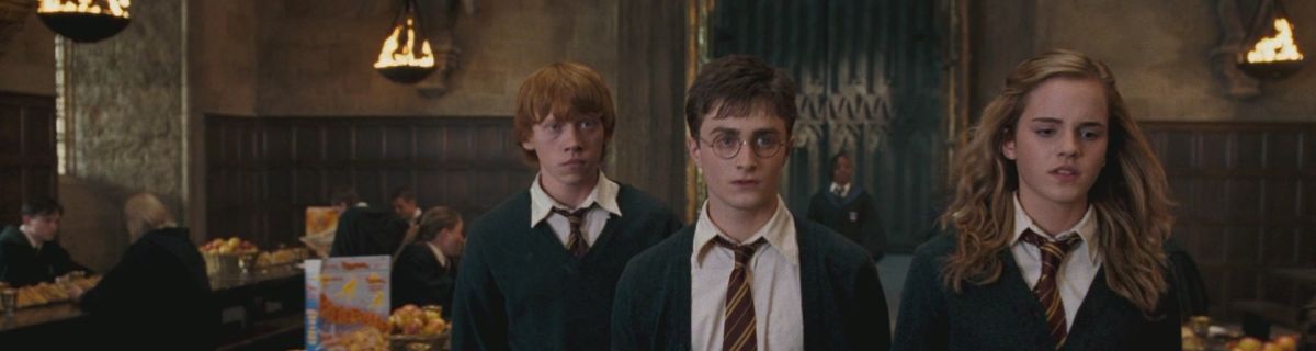 Harry Potter And The Order Of The Phoenix Analysis Narrative First