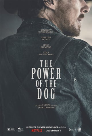 The Power of the Dog artwork