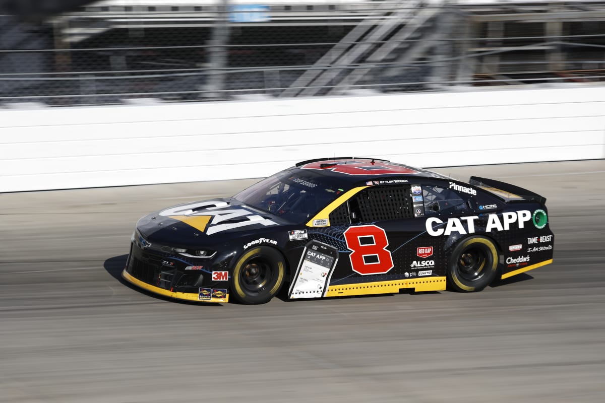 August 23, 2020:      #8: Tyler Reddick, Richard Childress Racing, Chevrolet Camaro Cat App      Drydene 311 at Dover International Raceway   in Dover, DE ,  .  .   .  (HHP/Andrew Coppley)
