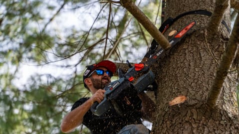 Richard Childress Racing and SENIX Tools Enhance Multi-Year Partnership with Primary Race Sponsorship and Special Fan Discount