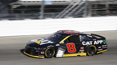 August 23, 2020:      #8: Tyler Reddick, Richard Childress Racing, Chevrolet Camaro Cat App      Drydene 311 at Dover International Raceway   in Dover, DE ,  .  .   .  (HHP/Andrew Coppley)