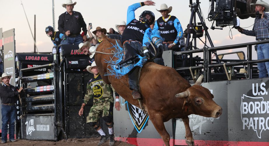 bull rider