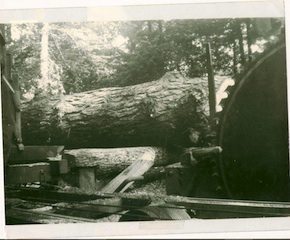The Woodchopper Lived His Hard Earned Nickname