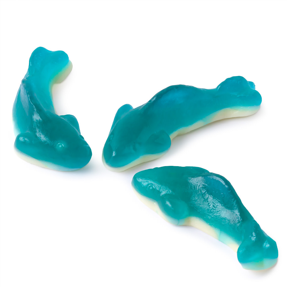 Clever Candy Gummy Sharks | Nassau Candy