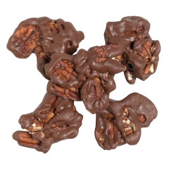 NASSAU CANDY MILK CHOCOLATE PECAN DELITES