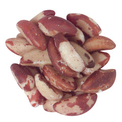 BRAZIL NUT UNBLANCHED MEDIUM