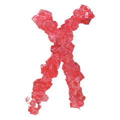 ROSES BRANDS RED STRAWBERRY ROCK CANDY STRINGS