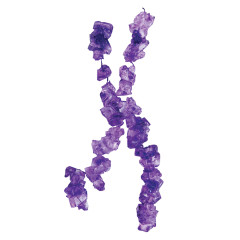 ROSES BRANDS PURPLE GRAPE ROCK CANDY STRINGS