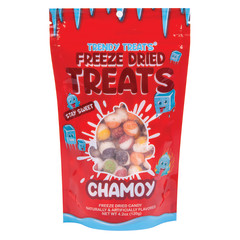 TRENDY TREATS FREEZE DRIED CHAMOY 4.2 OZ POUCH