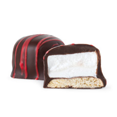 NASSAU CANDY DARK CHOCOLATE RASPBERRY S’MORES