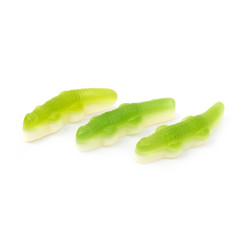 KERVAN GUMMY CROCODILE HATCHLINGS