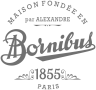 Brand Logo - BORNIBUS