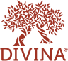 Brand Logo - DIVINA