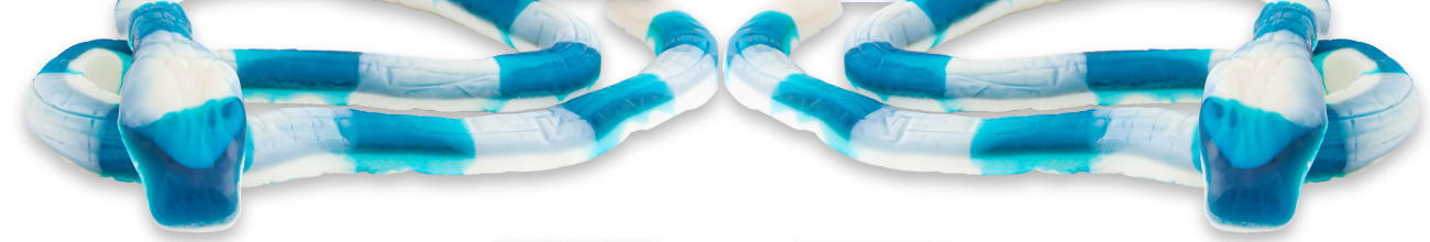 Hissee Fit Gummy Snakes