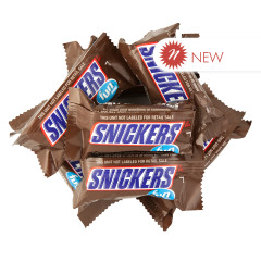 SNICKERS FUN SIZE BAR
