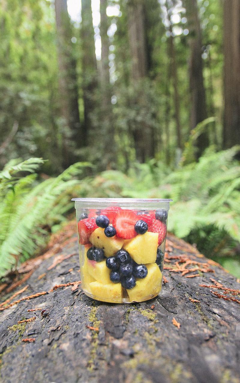 roadtrip_amerika_potovanja_redwoods_10